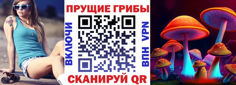 Псилоцибиновые грибы Cubensis  Купить  Одинцово 